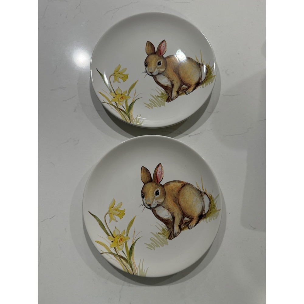 Certified International Spring Bunny Dessert Plates Set of 2 Rabbit Daffodil